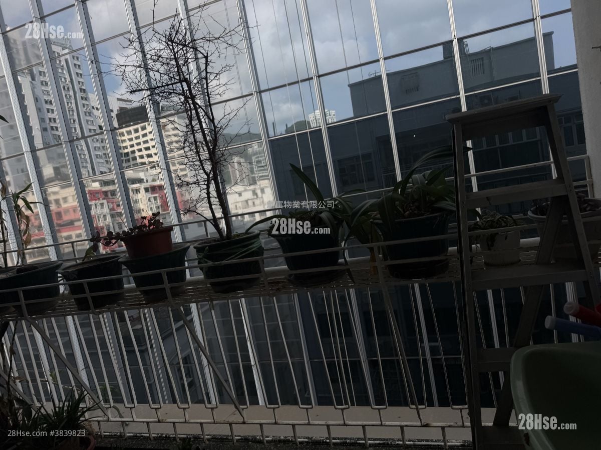 海华大厦 售盘 1,015 平方尺
