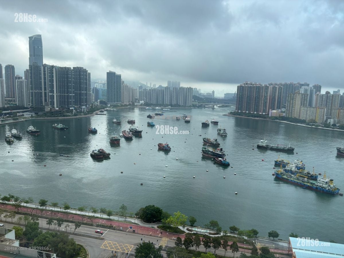 丽城花园 售盘 572 平方尺