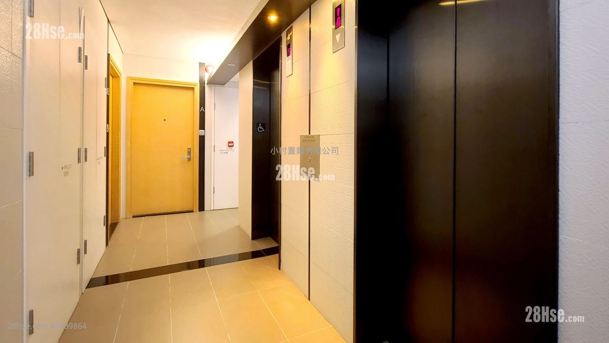 其它: Elevator