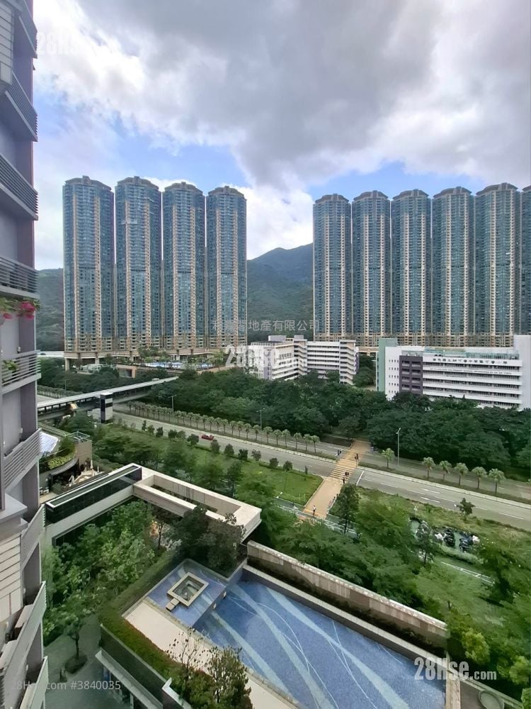 Century Link Rental 1 Bedroom , 1 Bathroom 408 ft²