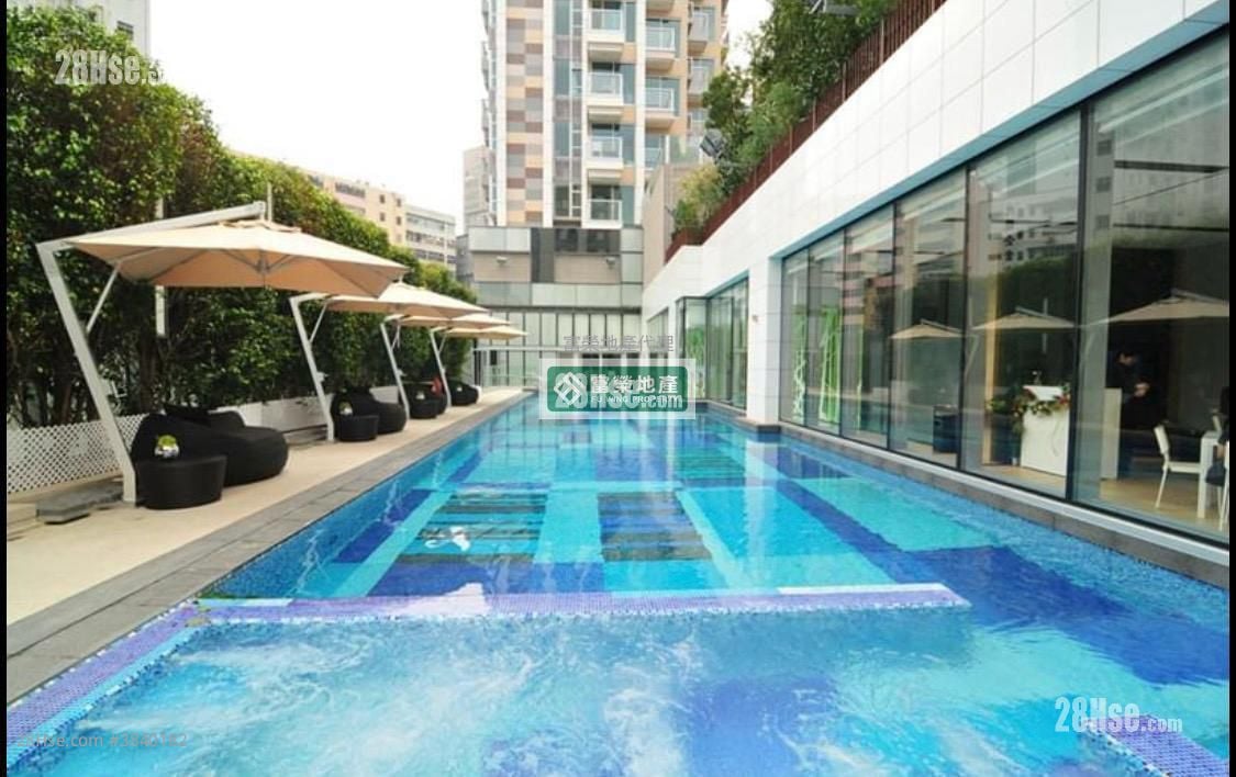 Lime Stardom Rental 1 Bedroom , 1 Bathroom 386 ft²