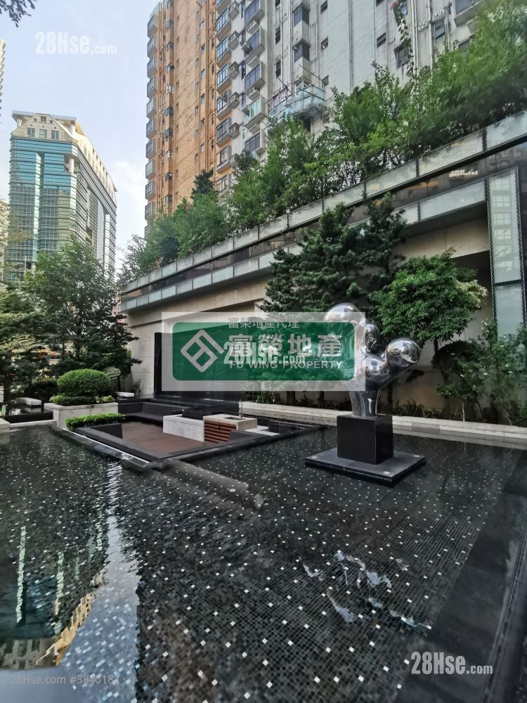 Lime Stardom Rental 1 Bedroom , 1 Bathroom 386 ft²