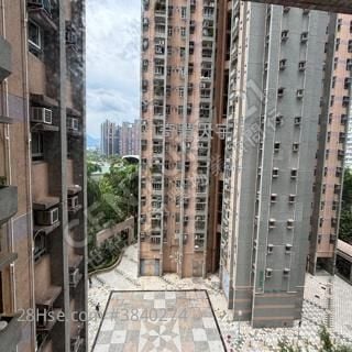 $100印花税 买2房2厅锦龙苑专门店>Jimmy 窦生