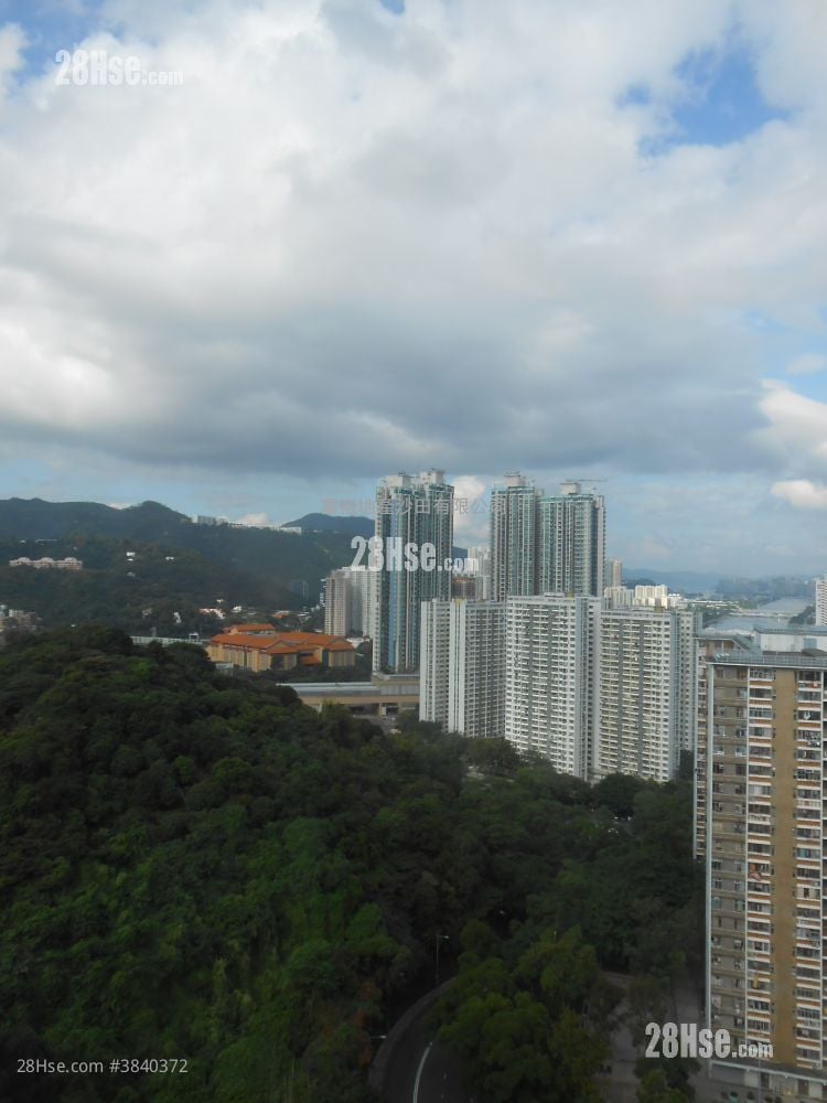 Golden Lion Garden Rental 1 Bedroom , 1 Bathroom 266 ft²