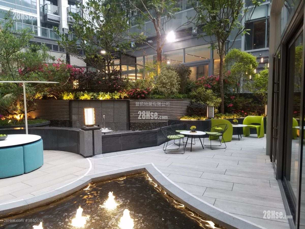 Lime Gala Rental 1 Bedroom , 1 Bathroom 353 ft²
