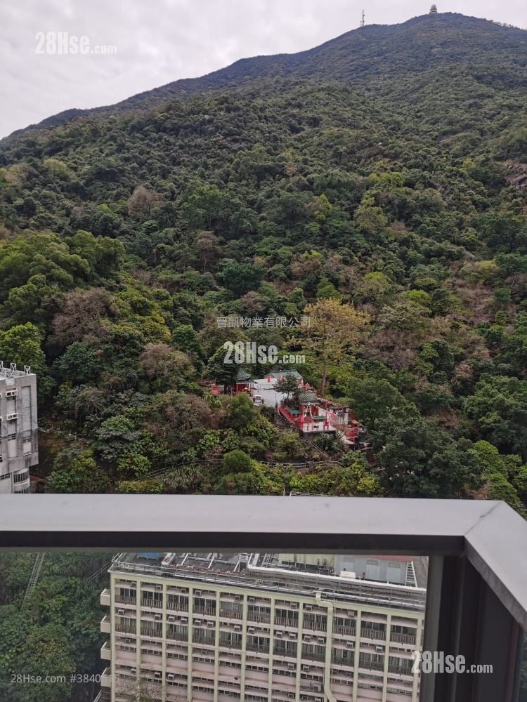 Lime Gala Rental 1 Bedroom , 1 Bathroom 353 ft²