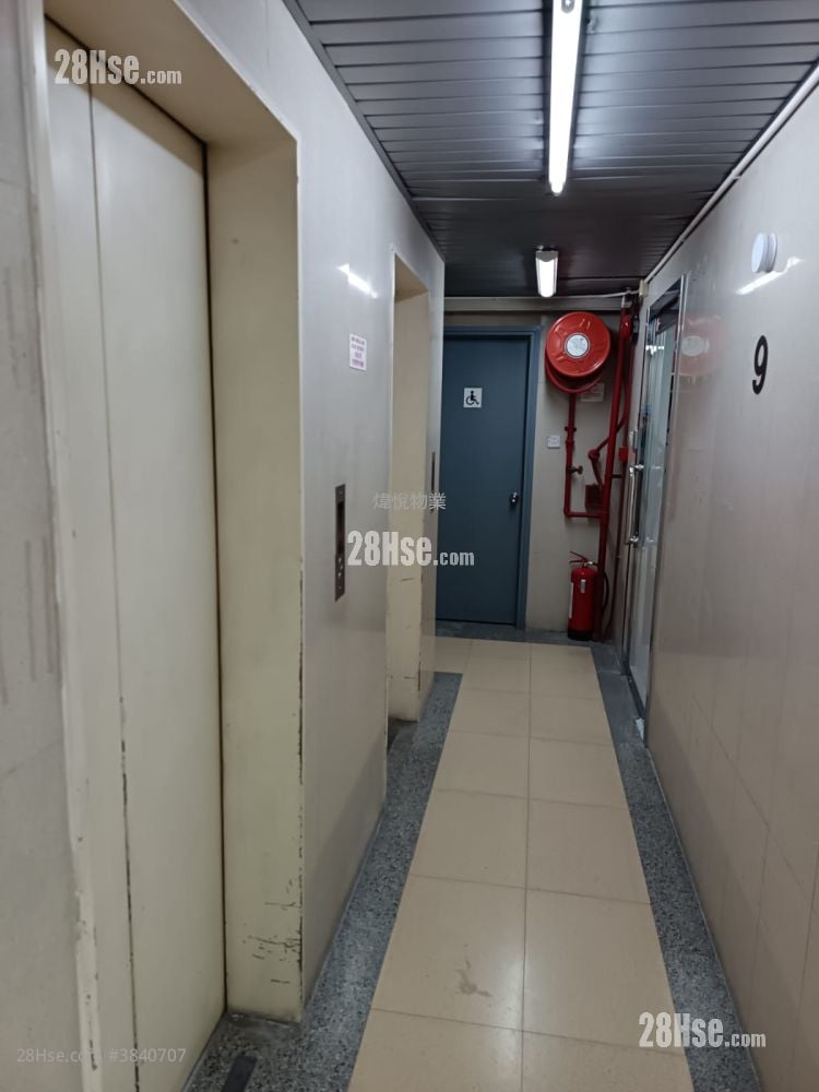 Will Strong Development Building Rental