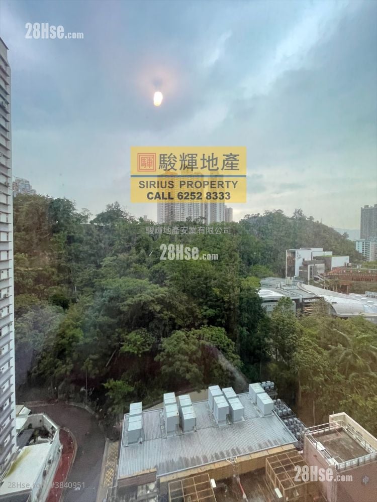 高山18 租盘 280 平方尺