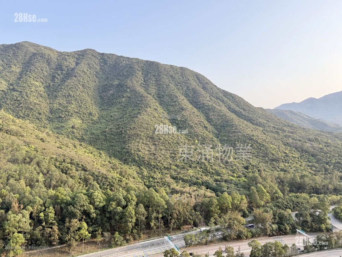 Caribbean Coast Rental 2 Bedrooms , 1 Bathroom 552 ft²