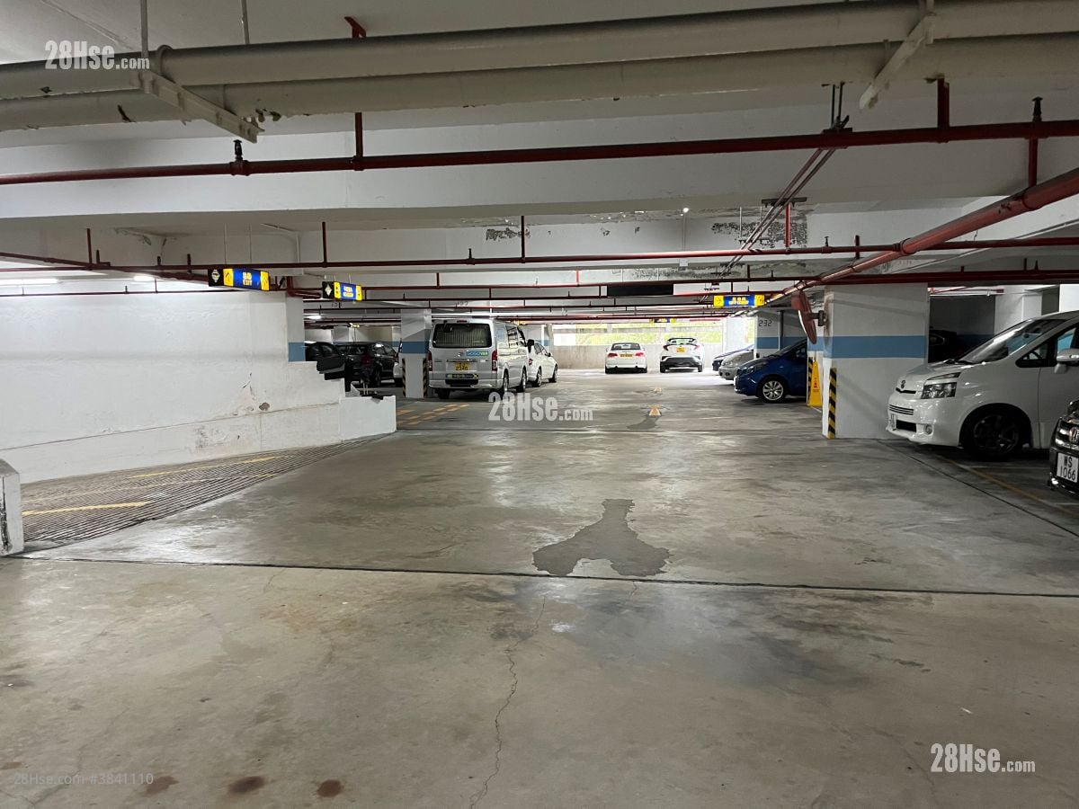 City One Shatin Rental