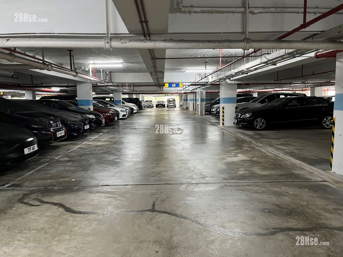 City One Shatin Rental