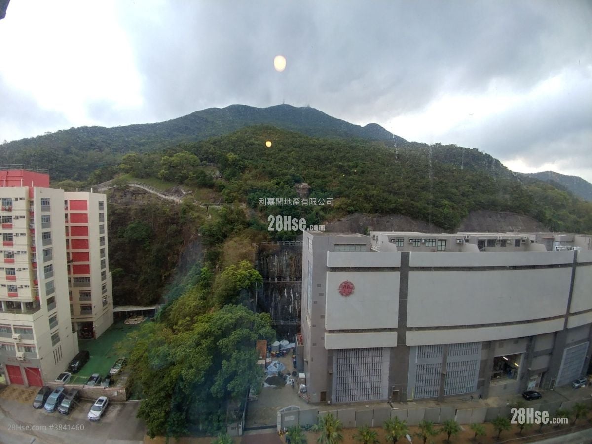 香岛 售盘 2 房 513 平方尺