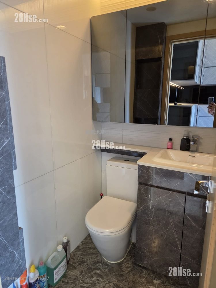 Lime Stardom Rental 1 Bedroom , 1 Bathroom 386 ft²