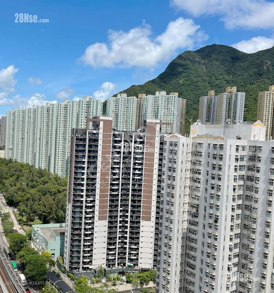 马鞍山中心 售盘 3 房 , 1 浴室 522 平方尺