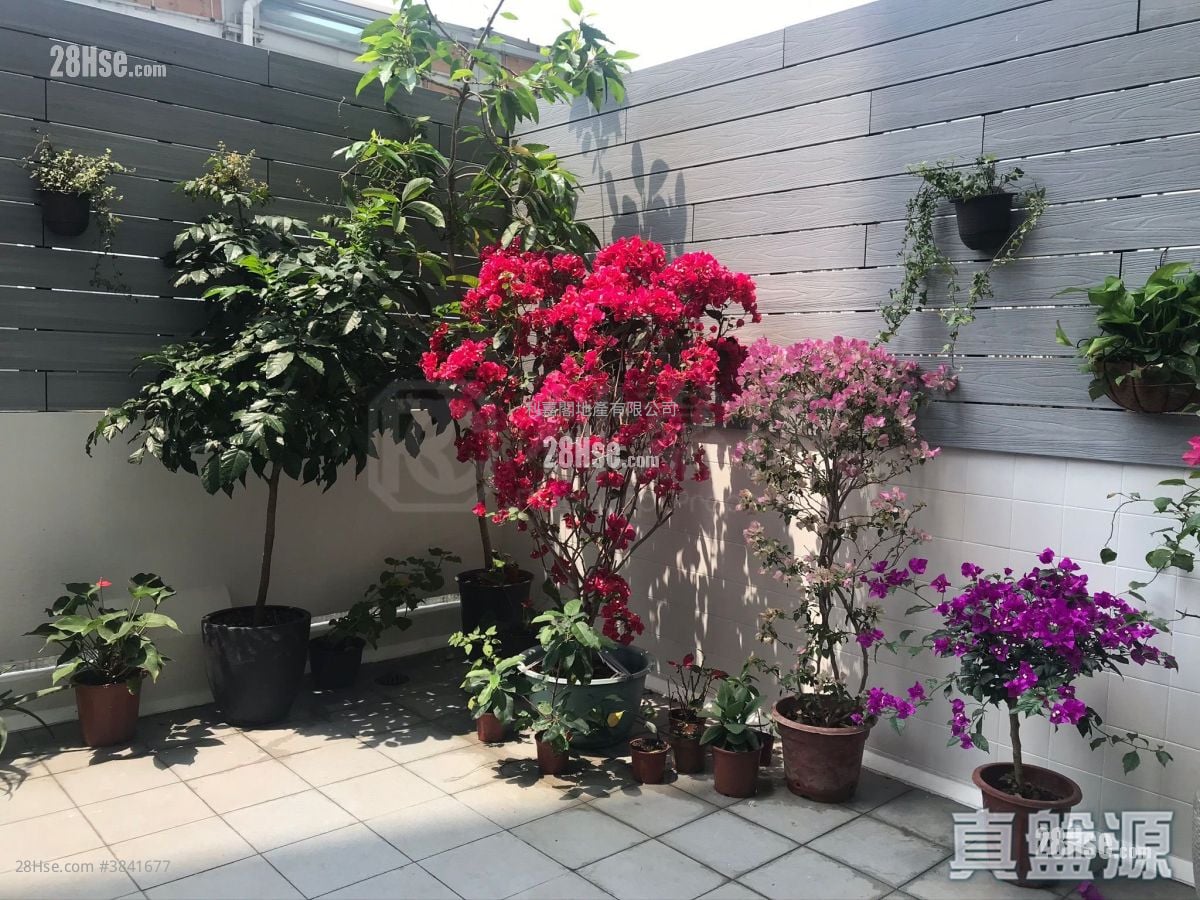 City Garden Sell 3 Bedrooms , 2 Bathrooms 966 ft²