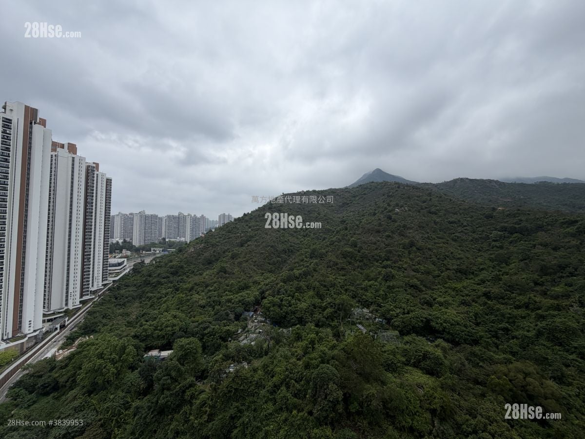 锦骏苑 售盘 2 房 , 1 浴室 447 平方尺