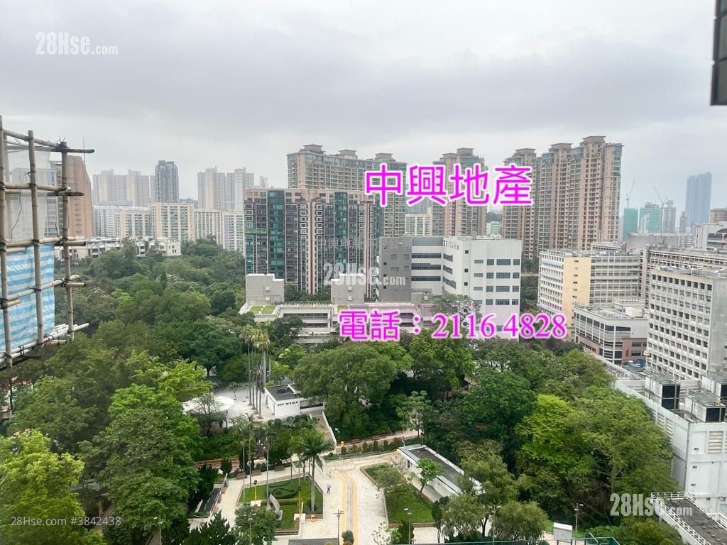 爵士花園 售盤 3 房 , 3 浴室 791 平方呎