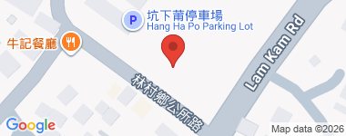 林村 全層 地下 物業地址