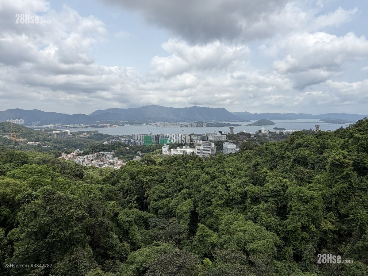 La Vetta Sell 4 Bedrooms 2,172 ft²