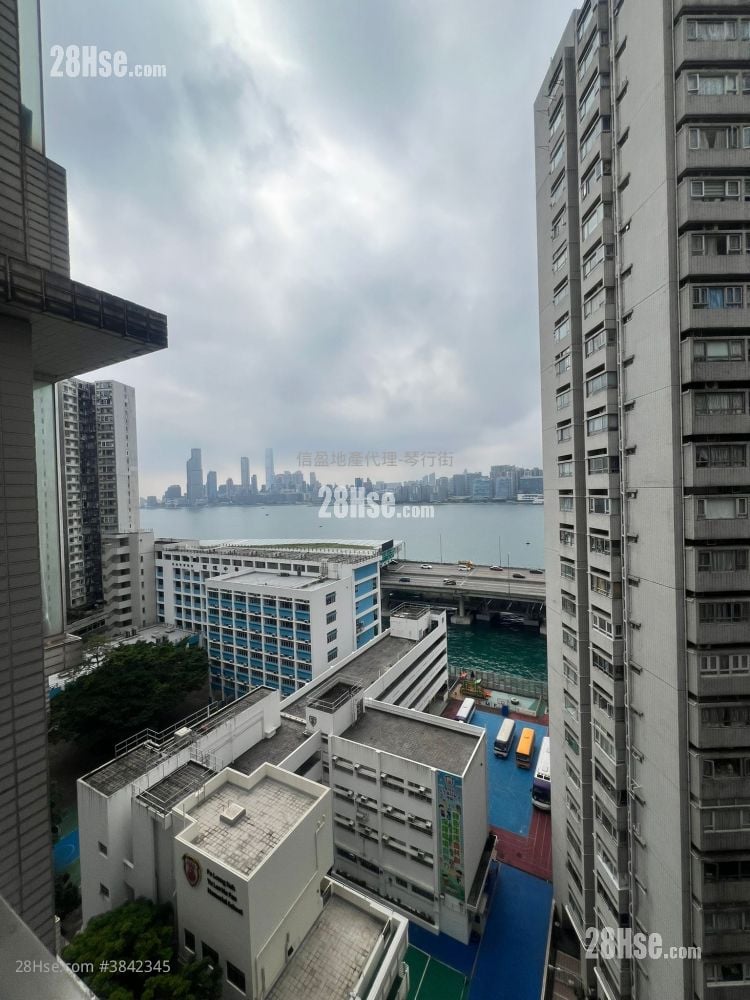 庄士维港轩 租盘 1 房 , 1 浴室 326 平方尺
