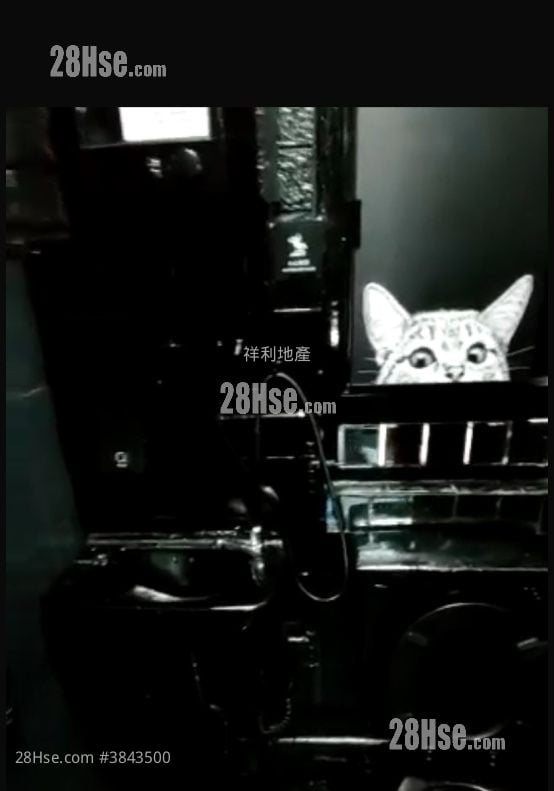 福群大廈 售盤 2 房 290 平方呎