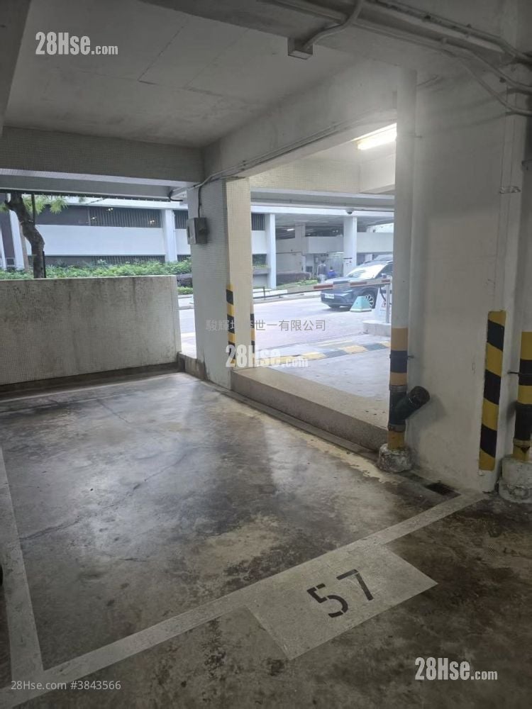 Taikoo Shing Rental