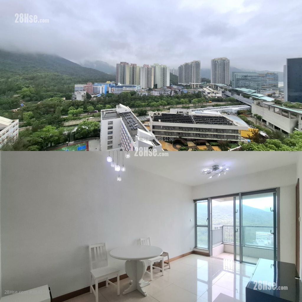 Coastal Skyline Rental 1 Bedroom , 1 Bathroom 441 ft²