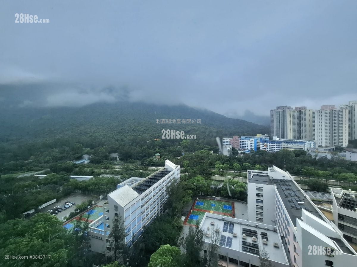 Coastal Skyline Rental 1 Bedroom , 1 Bathroom 441 ft²