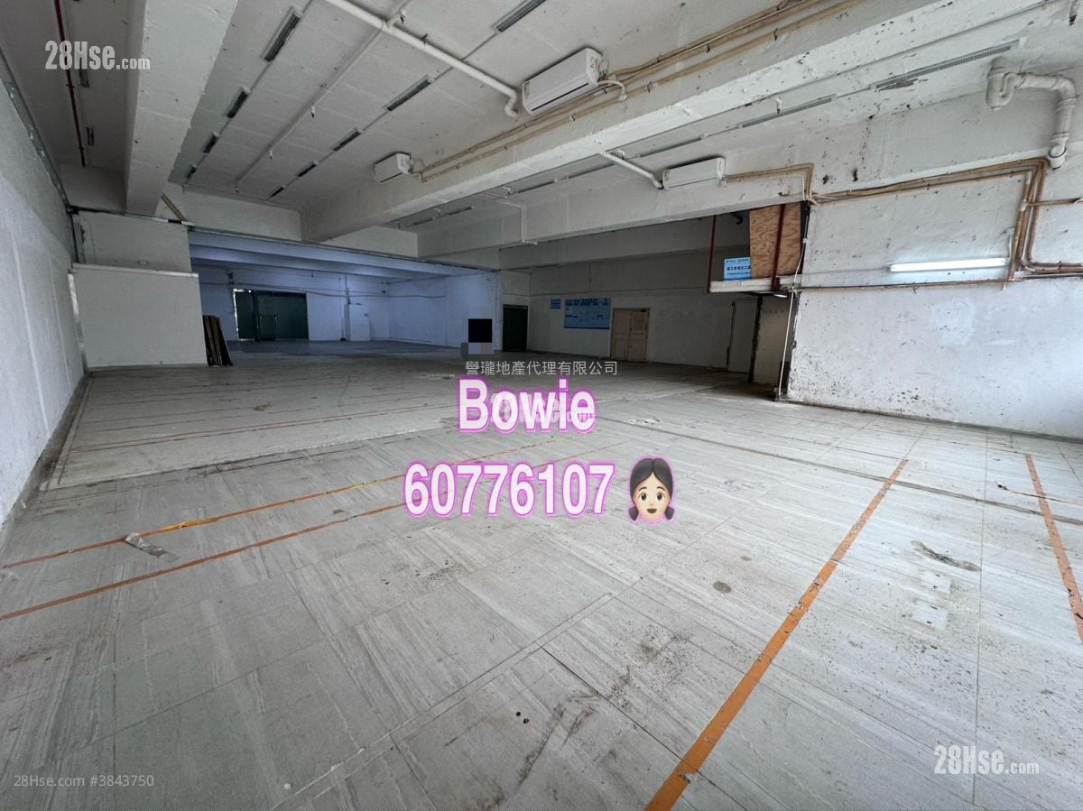 長豐工業大廈 租盤