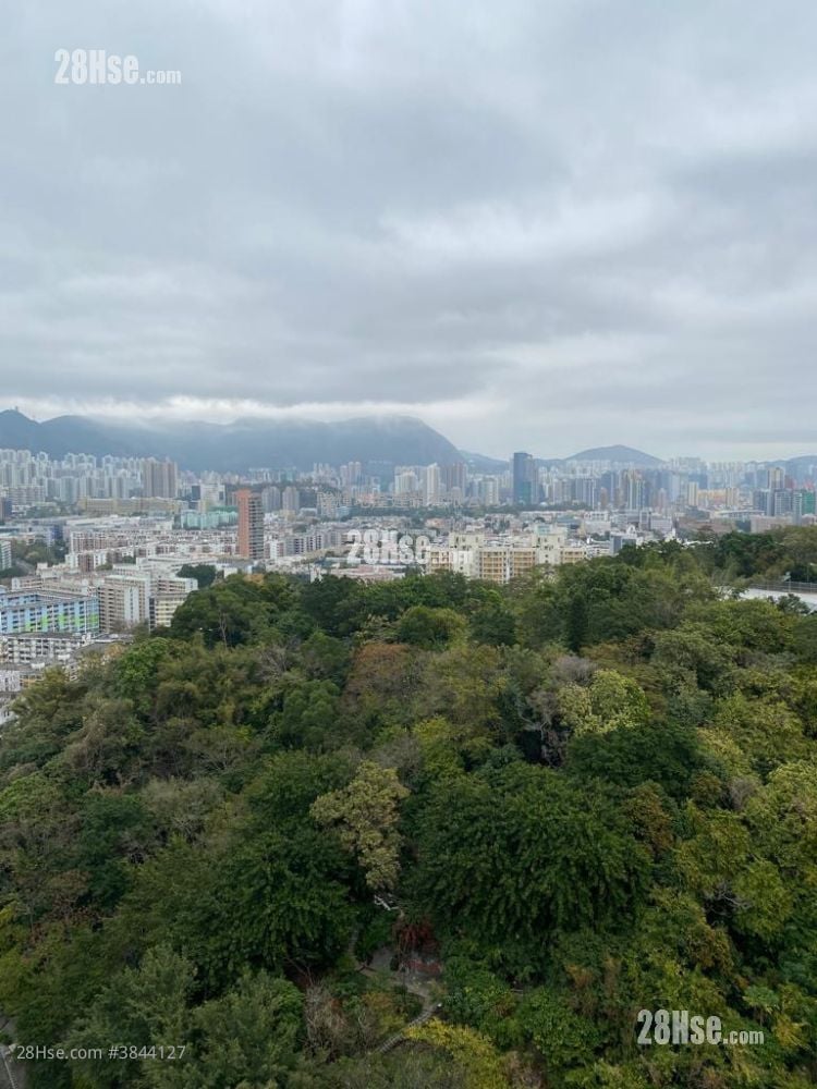 景怡峰 售盤 1 房 , 1 浴室 270 平方呎