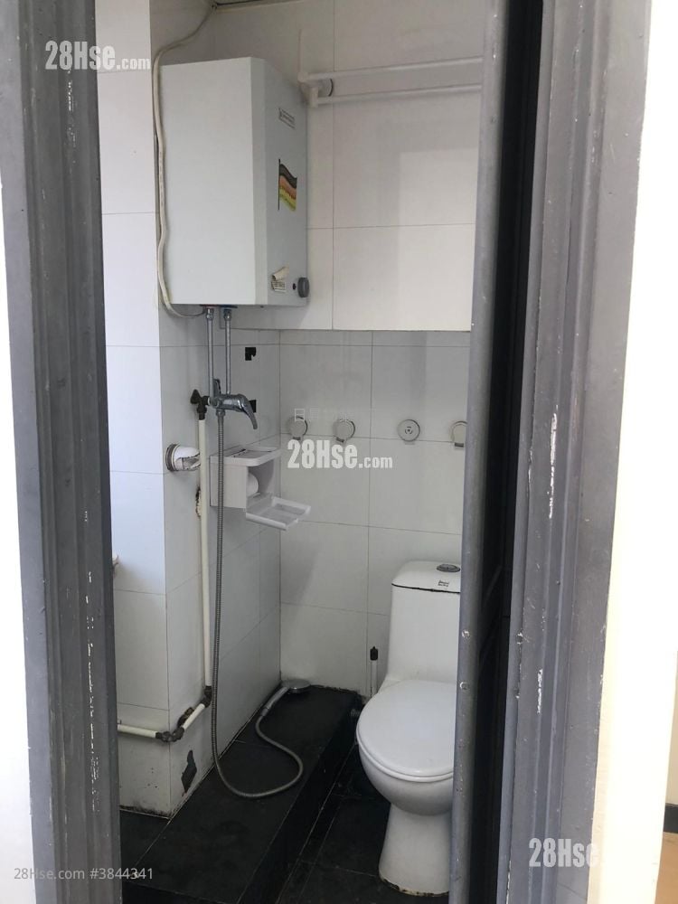 International Plaza Rental