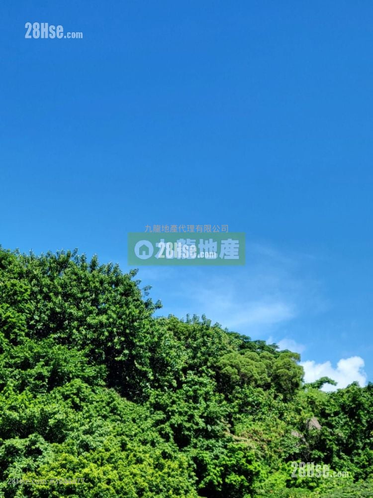 晉嶺 租盤 開放式間隔 , 1 浴室 217 平方呎