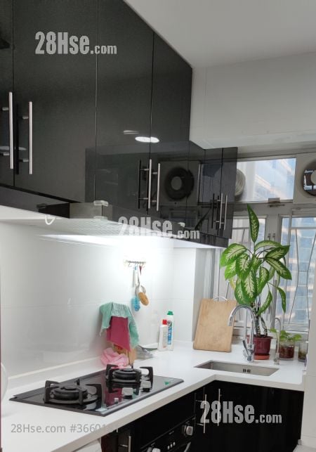 Taikoo Shing Rental 2 Bedrooms , 2 Bathrooms 714 ft²