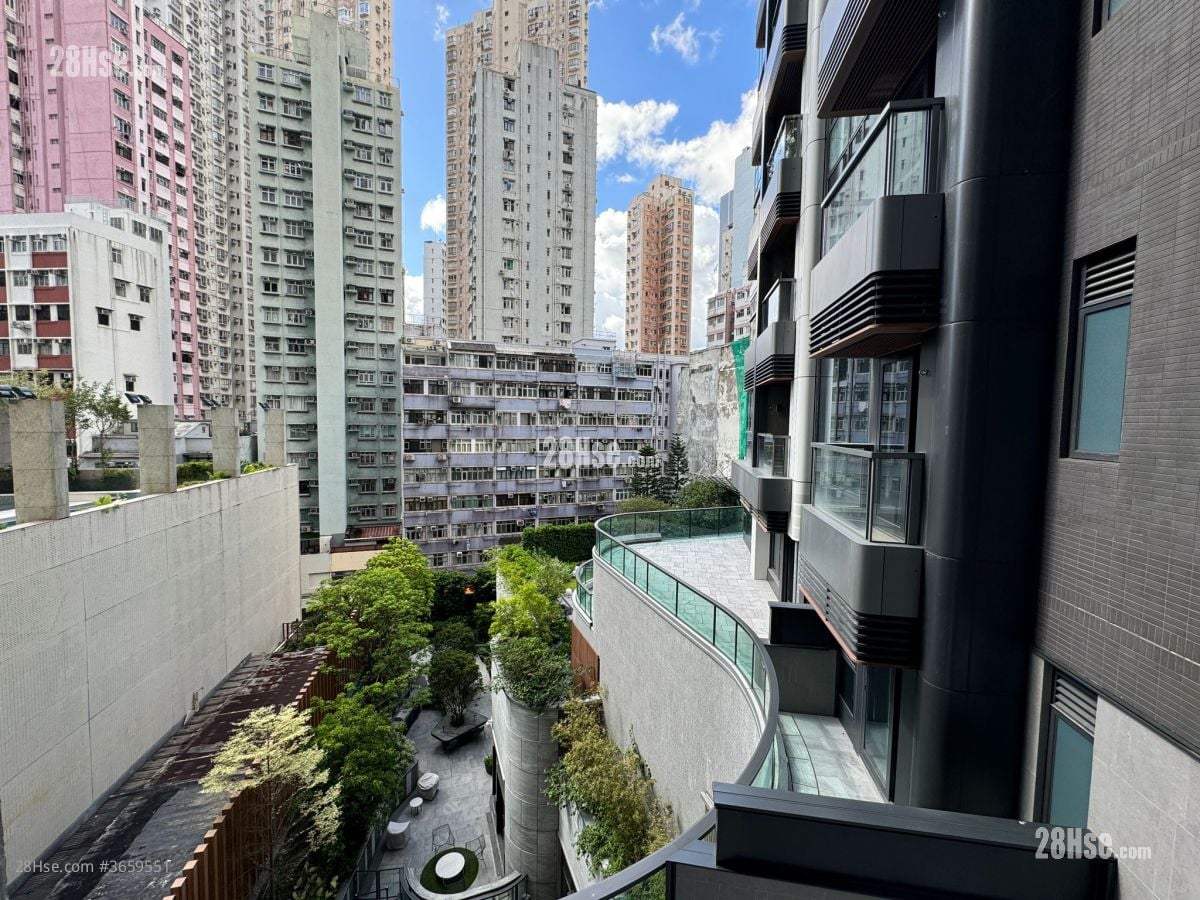 Kennedy 38 Rental 1 Bedroom , 1 Bathroom 301 ft²
