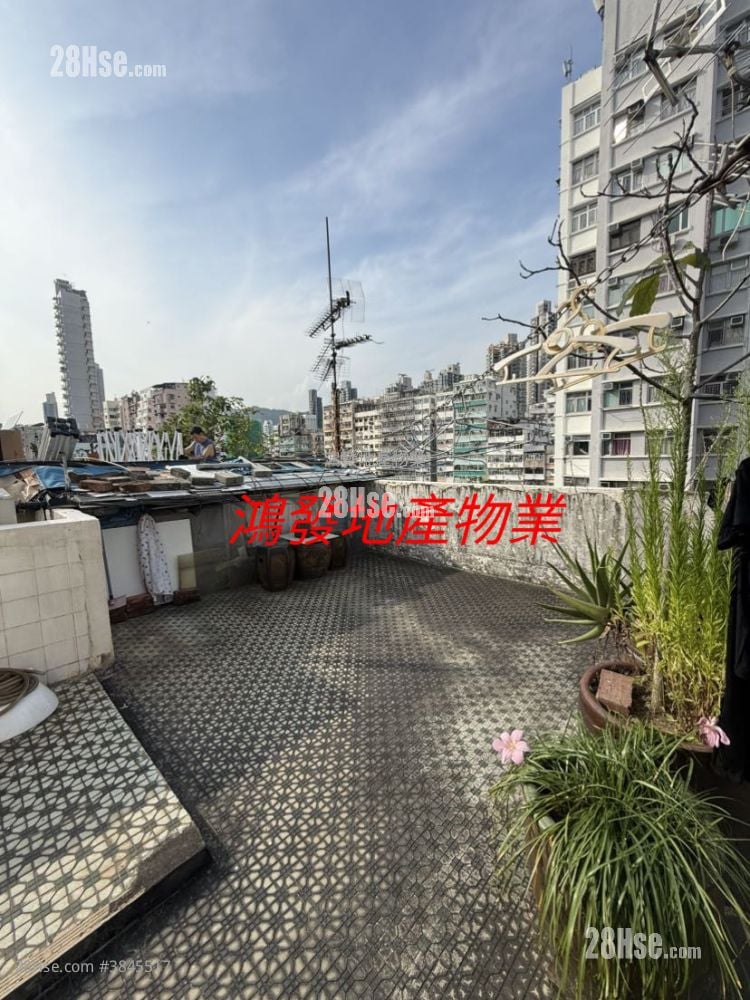 唐樓 售盤 2 房 350 平方呎