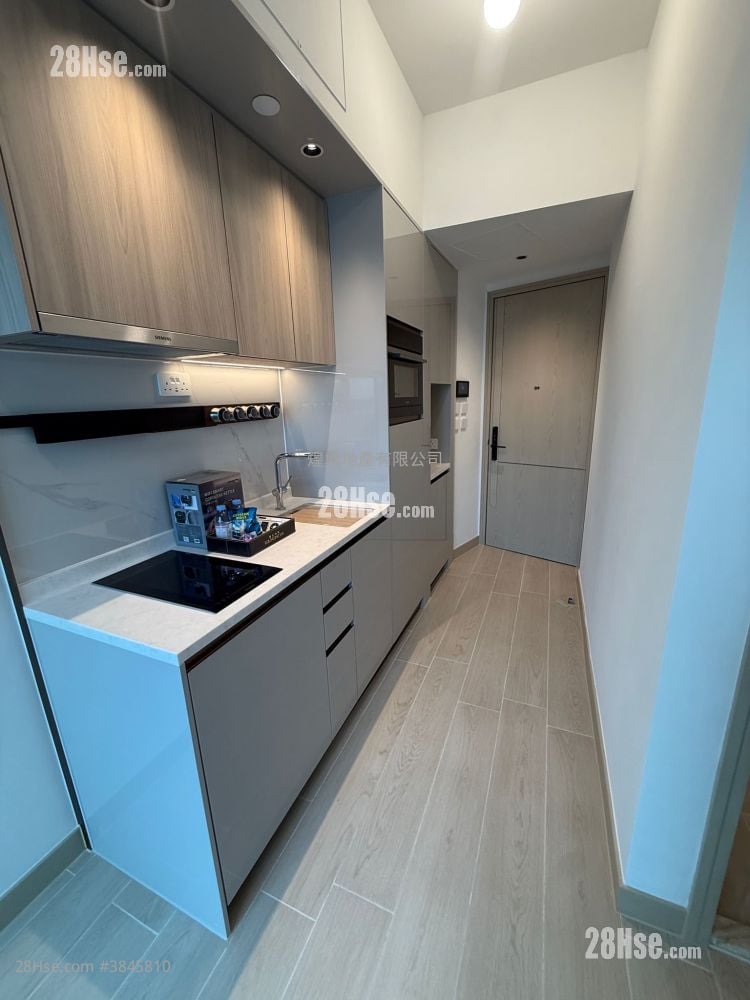 Gold Coast Bay Rental Studio , 1 Bathroom 204 ft²