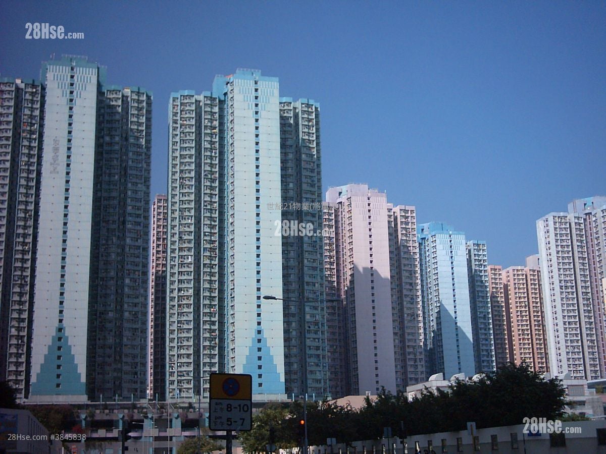 广明苑 售盘 3 房 594 平方尺