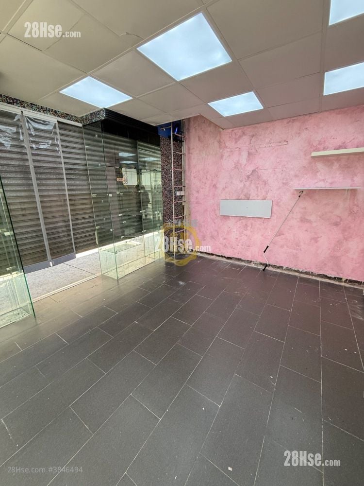 Top Court Rental Studio , 1 Toilet
