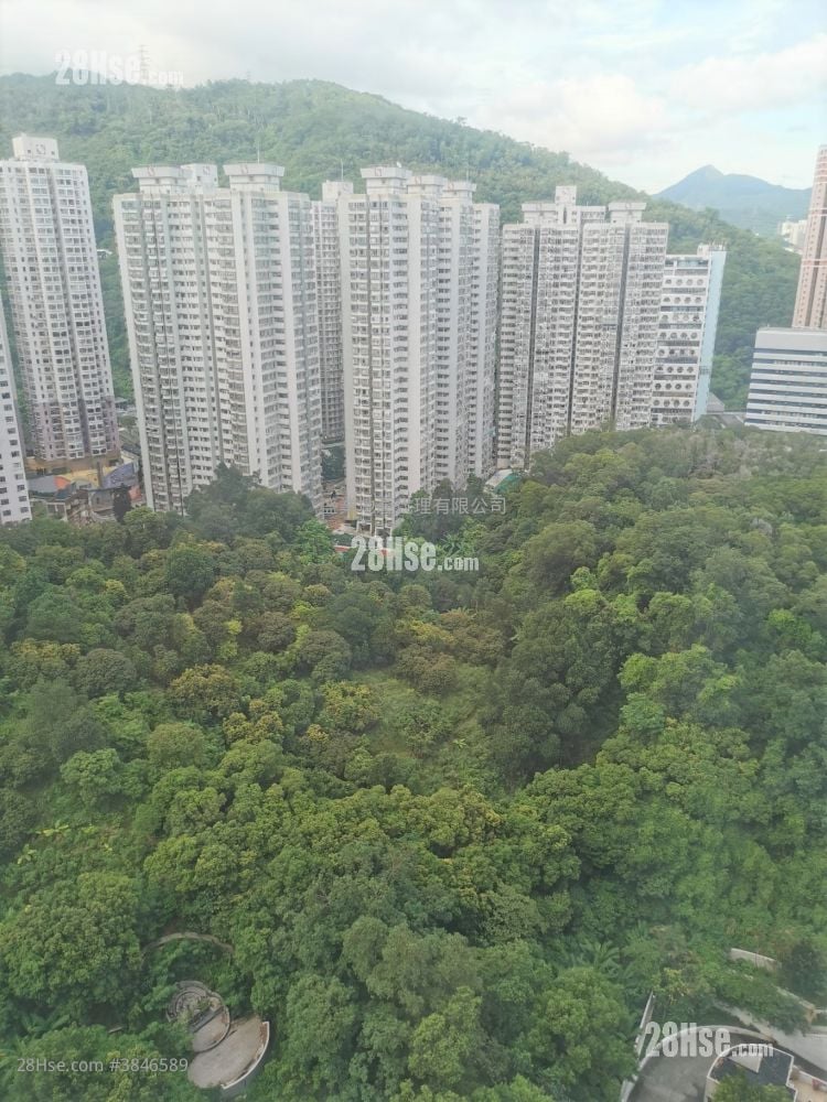 荃德花园 售盘 1 房 , 1 浴室 306 平方尺