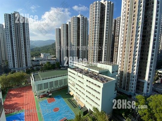 綠楊新邨 售盤 3 房 582 平方呎