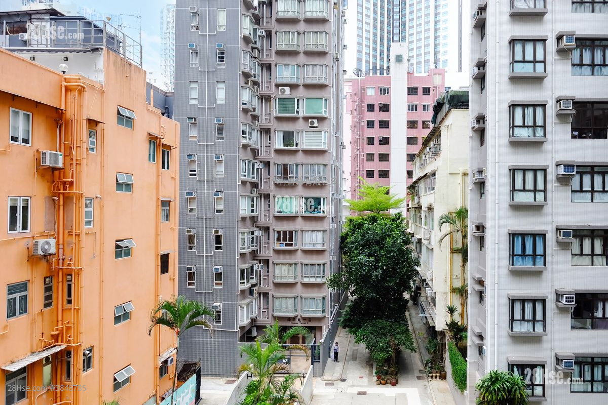 景观: 圣佛兰士街15号 租盘 1 房 , 1 浴室 386 平方尺