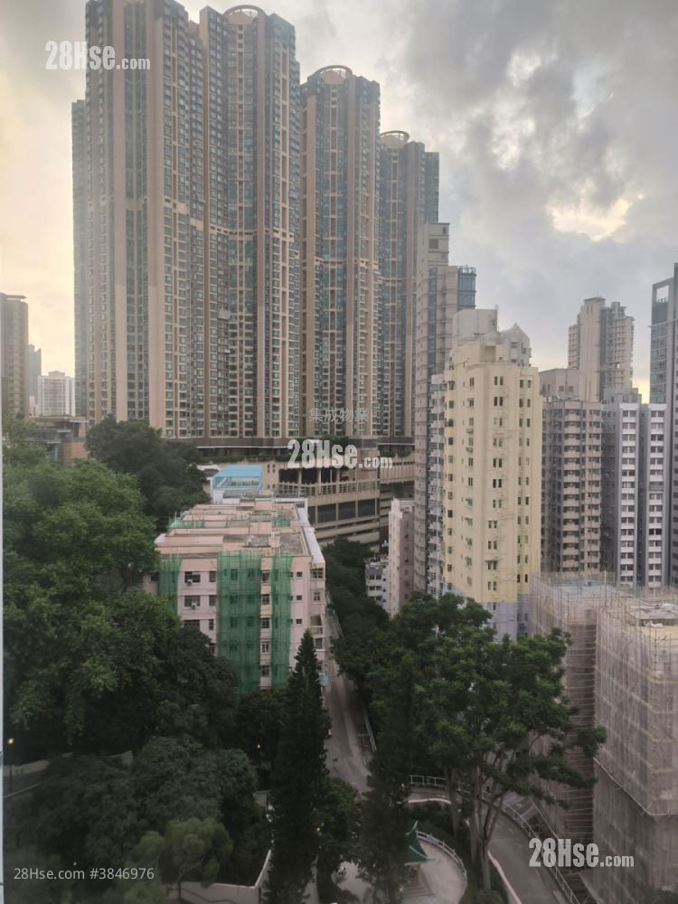 仁爱苑 售盘 393 平方尺