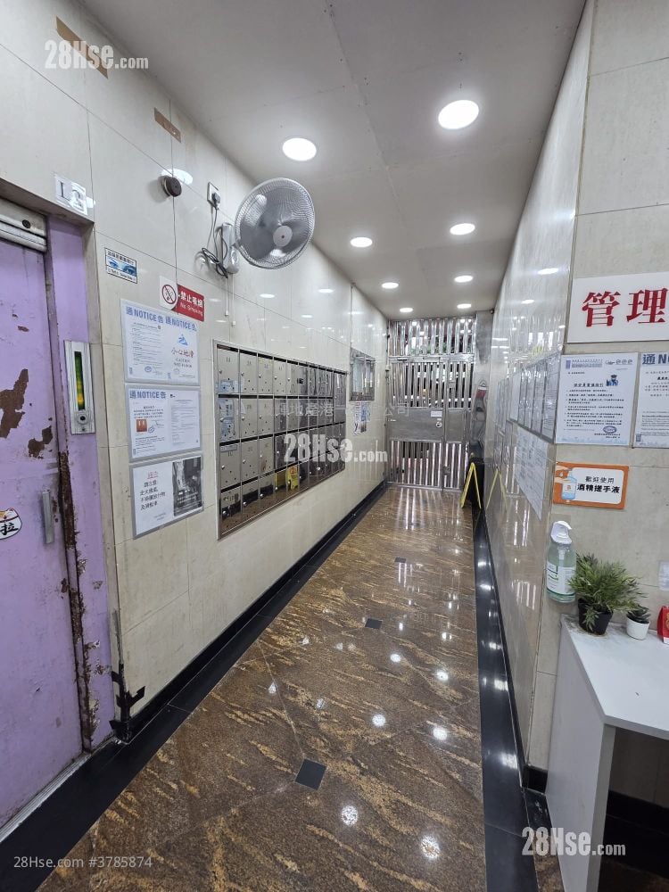 美園大廈 租盤 開放式間隔 , 1 浴室 240 平方呎