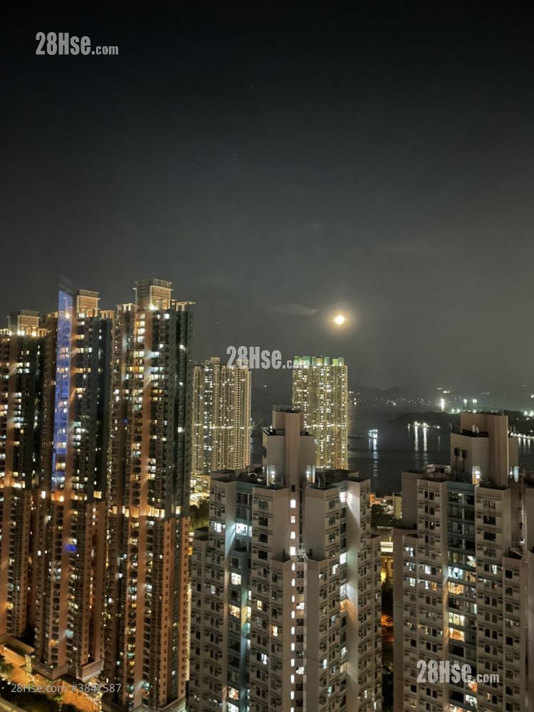 港灣豪庭 售盤 1 房 , 1 浴室 372 平方呎