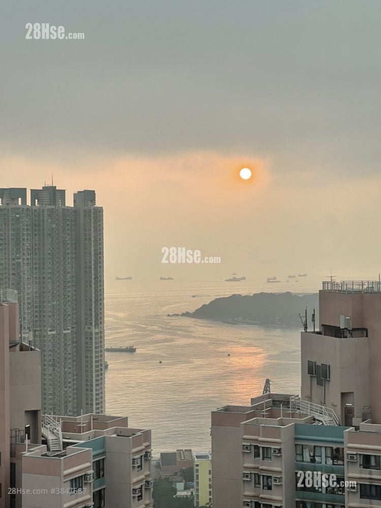 港灣豪庭 售盤 1 房 , 1 浴室 372 平方呎