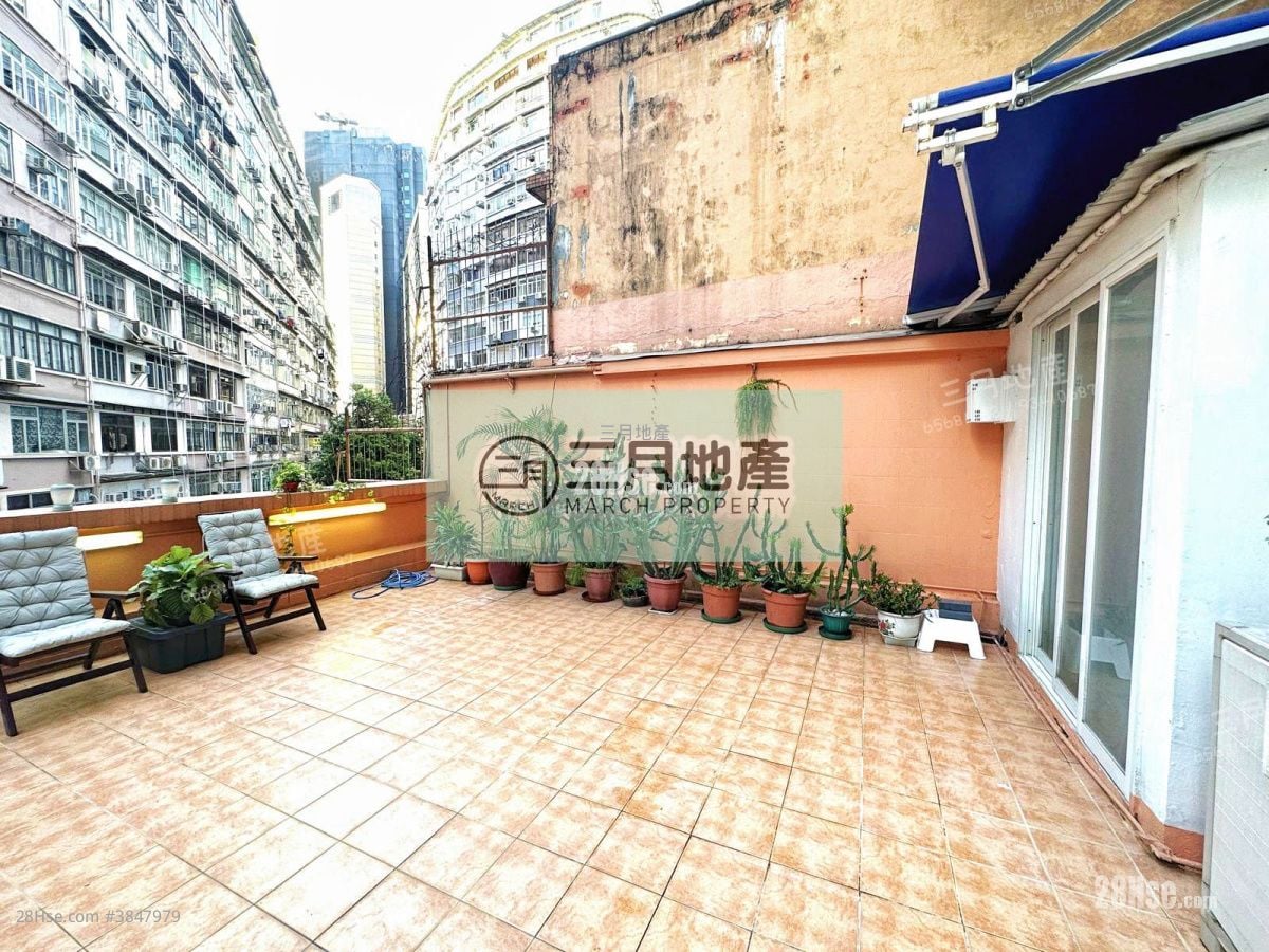 金辉阁 租盘 开放式间隔 , 1 浴室 325 平方尺