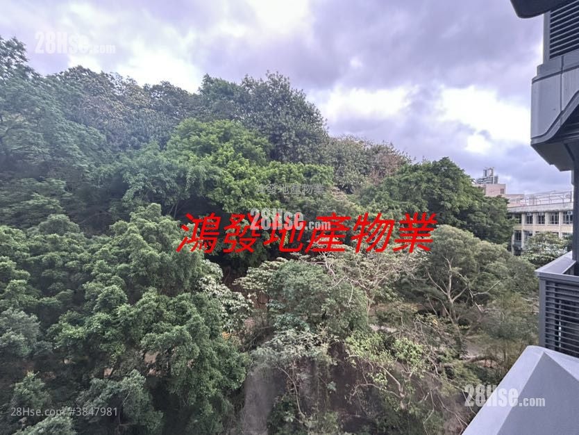 曉柏峰 租盤 1 房 , 1 浴室 247 平方呎