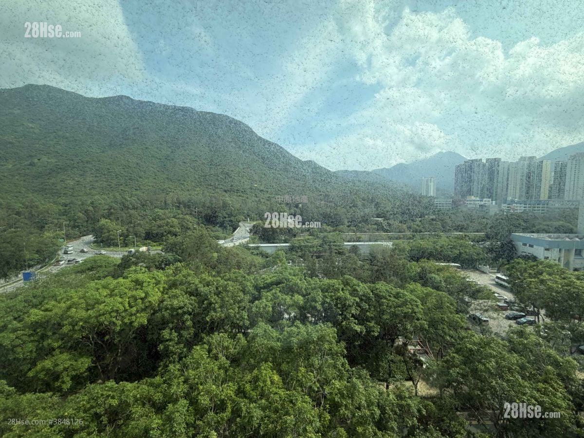 Coastal Skyline Sell 1 Bedroom 561 ft²