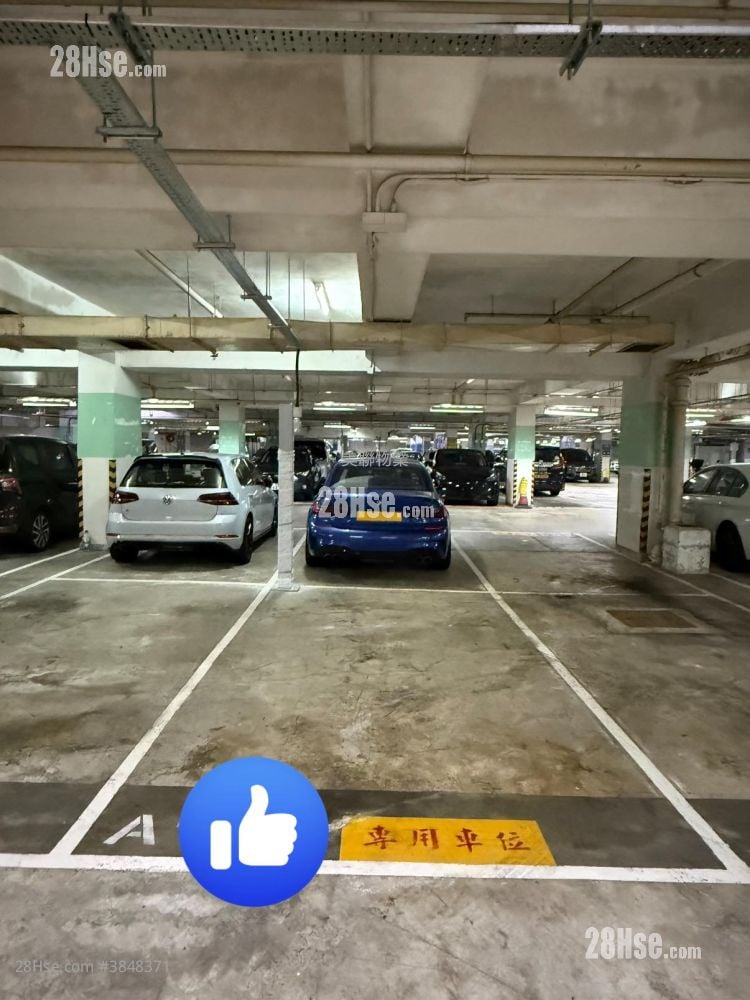 南豐廣場 租盤