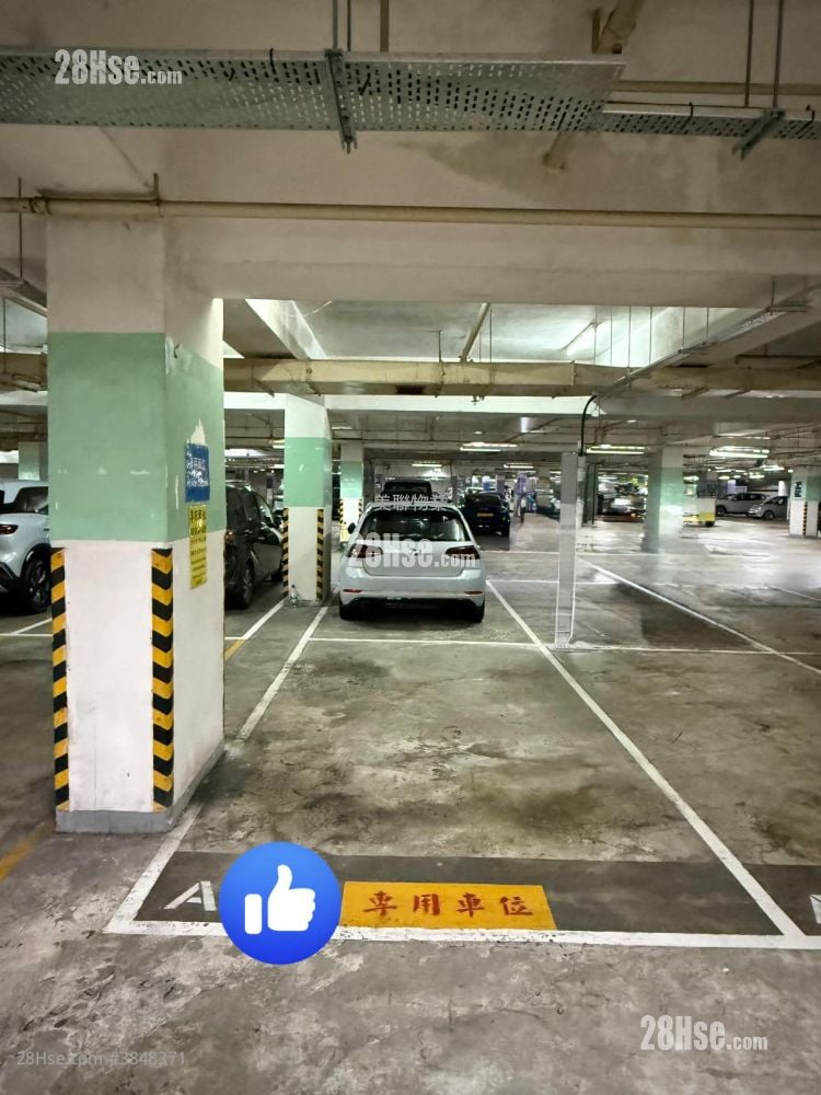 南豐廣場 租盤